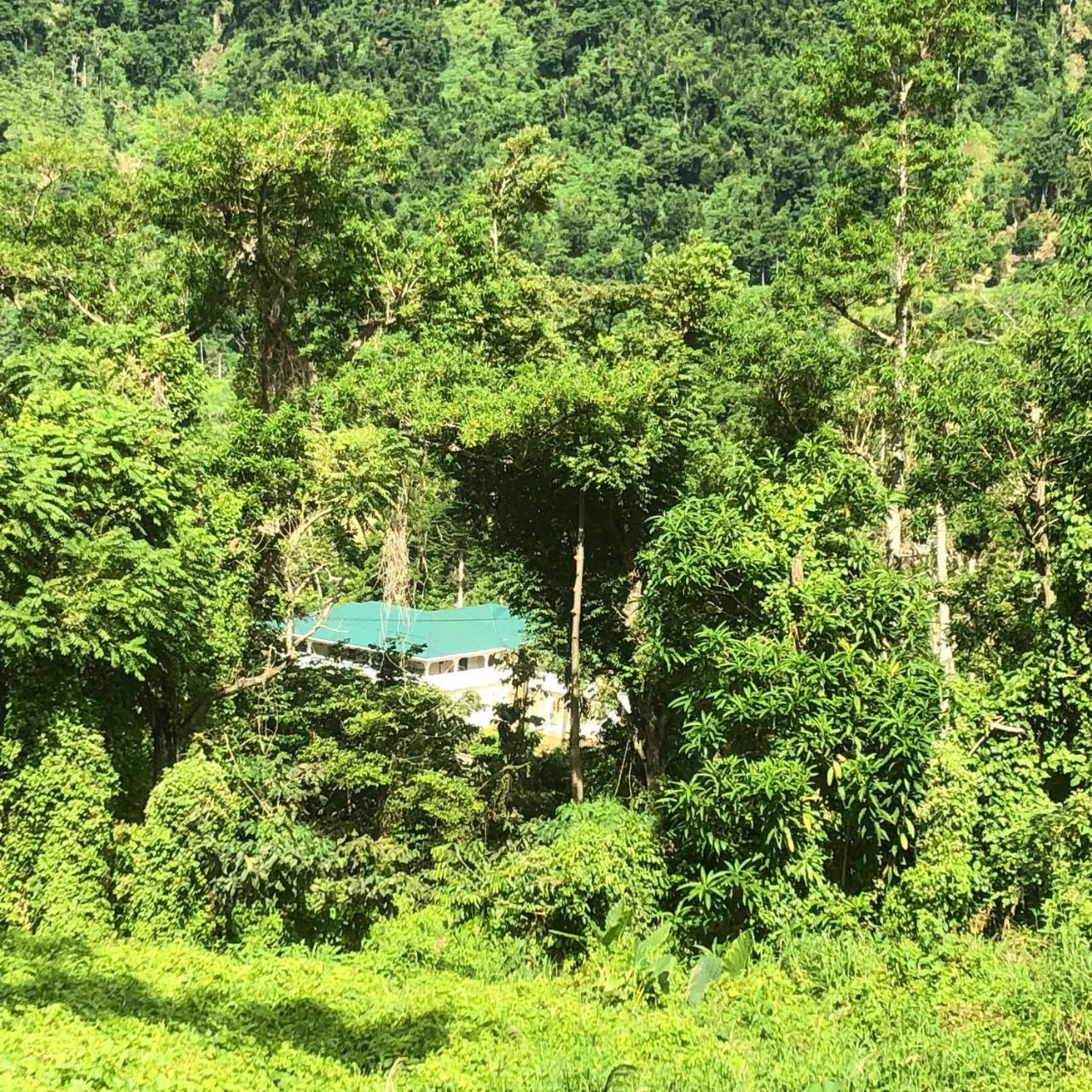Soufriere Guesthouse Buitenkant foto
